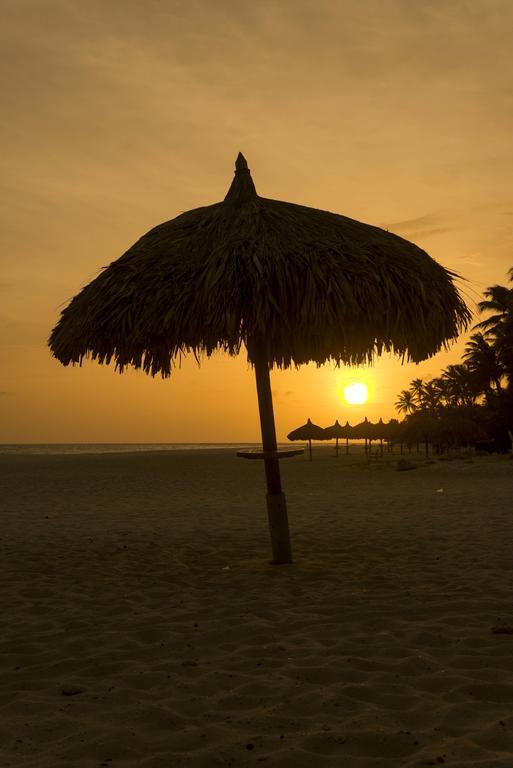 All Inclusive - Divi Dutch Village Beach Resort Oranjestad Eksteriør billede