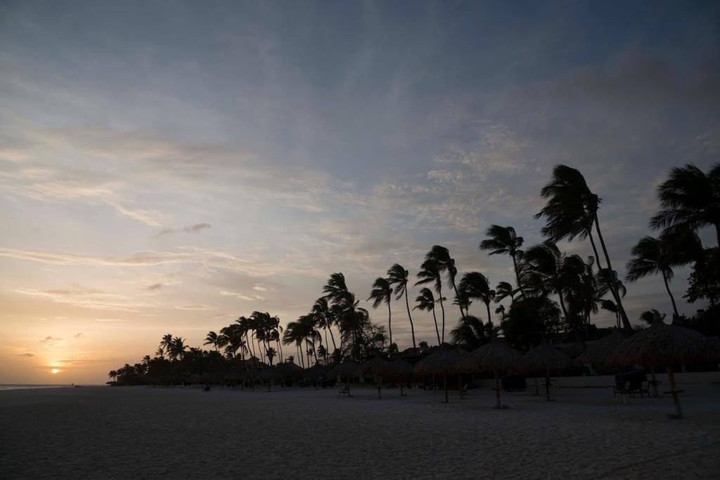 All Inclusive - Divi Dutch Village Beach Resort Oranjestad Eksteriør billede